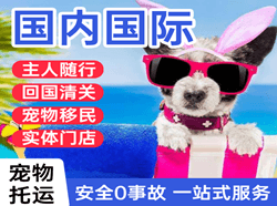 昆明空运地址国际宠物托运 【国
